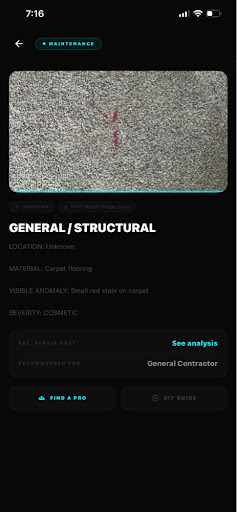 Ledrix finding detail with AI analysis